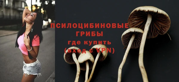 амфетамин Каменск-Шахтинский